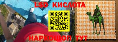 гидра Партизанск