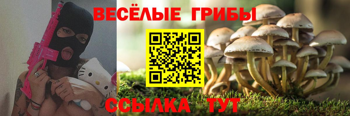 Псилоцибиновые грибы мухоморы Пугачёв